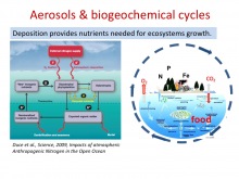 Aerosol and biogeochemical cycles